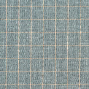 D125 Cornflower Checkerboard by Charlotte Fabric