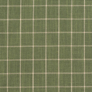 D126 Juniper Checkerboard by Charlotte Fabric