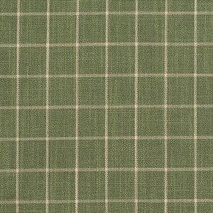 D126 Juniper Checkerboard by Charlotte Fabric
