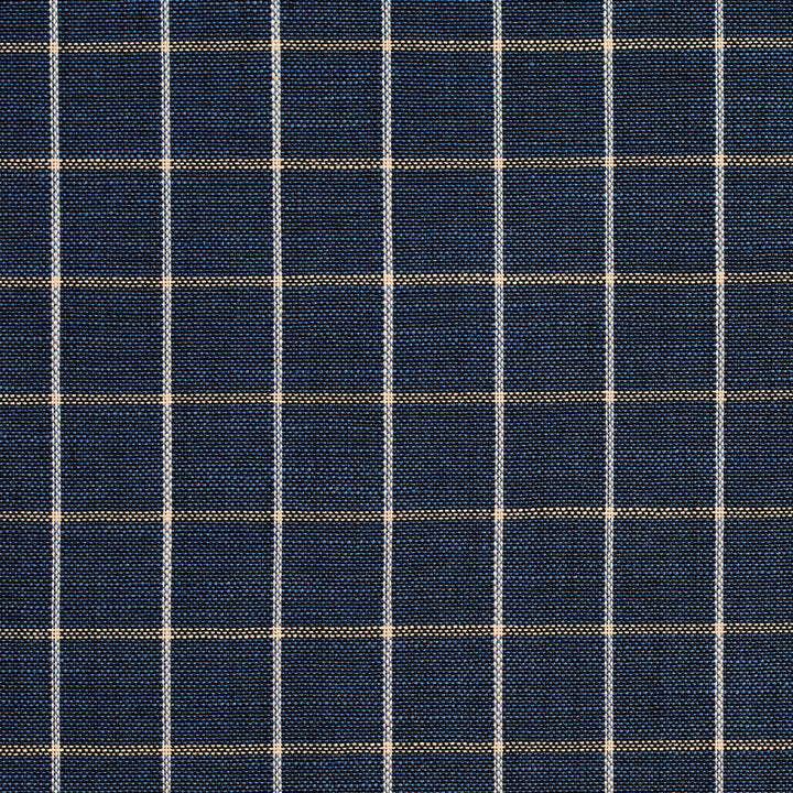 D127 Indigo Checkerboard by Charlotte Fabric Clubhouse Collection 100% Woven Polyester Asia Exceeds 120,000 Wyzenbeek Rubs (Heavy Duty) </p><p>Repeat: Horizontal: 1" x Vertical: 1" 54 Inches - Fabric Carolina -