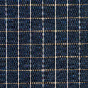 D127 Indigo Checkerboard by Charlotte Fabric