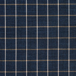 D127 Indigo Checkerboard by Charlotte Fabric