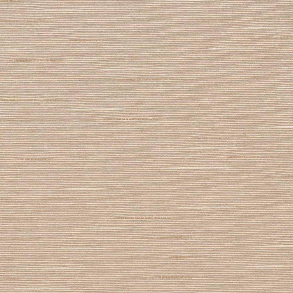 D1324 Taupe by Charlotte Fabric Neutral Textures 55% Cotton, 45% Polyester Taiwan Exceeds 60,000 Wyzenbeek Rubs (Heavy Duty) </p><p>Repeat: No Repeat 54 Inches - Fabric Carolina -