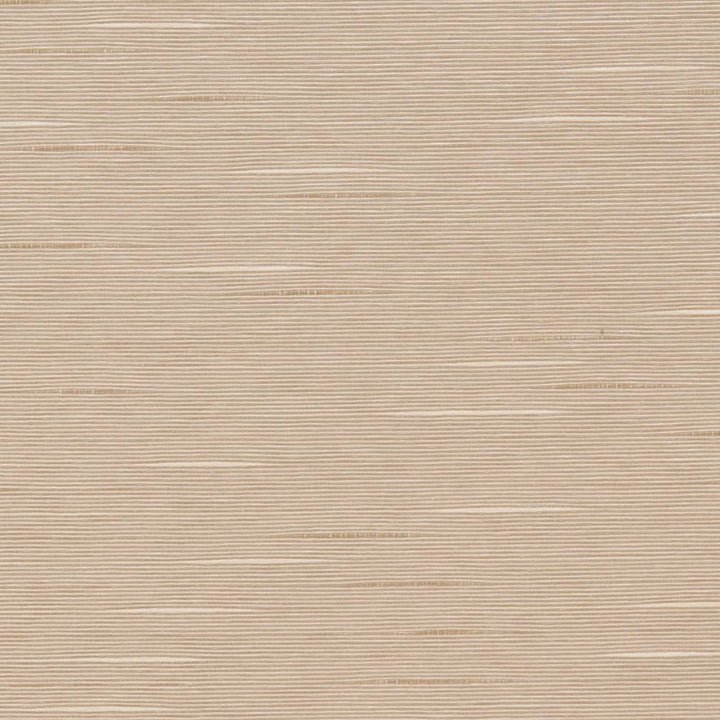 D1324 Taupe by Charlotte Fabric Neutral Textures 55% Cotton, 45% Polyester Taiwan Exceeds 60,000 Wyzenbeek Rubs (Heavy Duty) No Repeat 54 Inches - Fabric Carolina -