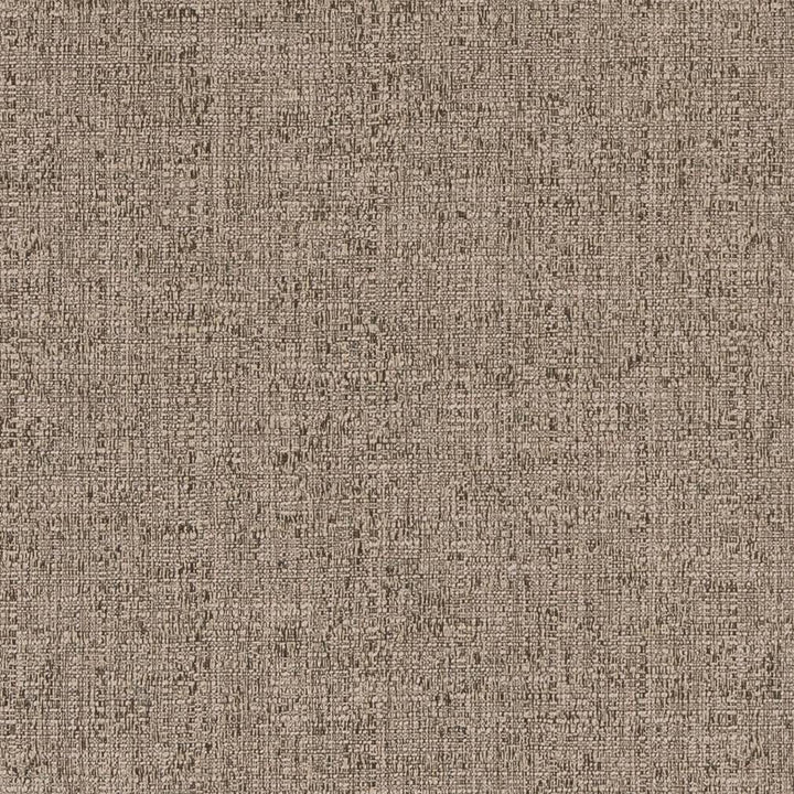 D1344 Barley by Charlotte Fabric Neutral Textures 66% Cotton, 34% Polyester Taiwan Exceeds 60,000 Wyzenbeek Rubs (Heavy Duty) No Repeat 54 Inches - Fabric Carolina -