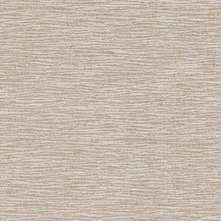 D1346 Praline by Charlotte Fabric Neutral Textures 77% Polyester, 23% Cotton Taiwan Exceeds 60,000 Wyzenbeek Rubs (Heavy Duty) </p><p>Repeat: No Repeat 54 Inches - Fabric Carolina -