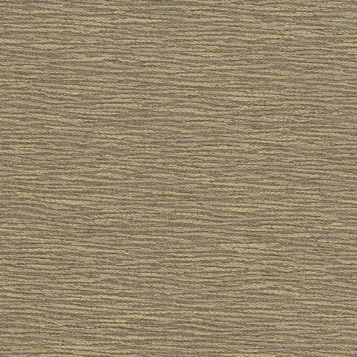 D1349 Sand Dune by Charlotte Fabric Neutral Textures 77% Polyester, 23% Cotton Taiwan Exceeds 60,000 Wyzenbeek Rubs (Heavy Duty) No Repeat 54 Inches - Fabric Carolina -