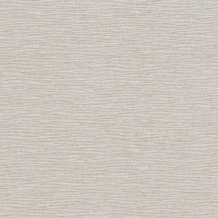 D1350 Cloud by Charlotte Fabric Neutral Textures 77% Polyester, 23% Cotton Taiwan Exceeds 60,000 Wyzenbeek Rubs (Heavy Duty) No Repeat 54 Inches - Fabric Carolina -