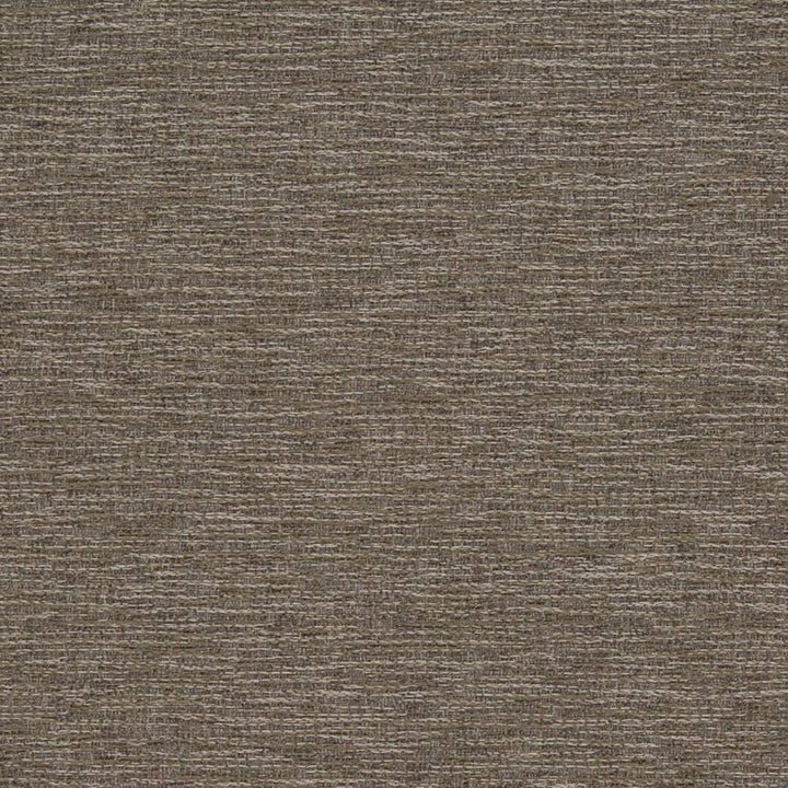 D1351 Hazelwood by Charlotte Fabric Neutral Textures 77% Polyester, 23% Cotton Taiwan Exceeds 60,000 Wyzenbeek Rubs (Heavy Duty) </p><p>Repeat: No Repeat 54 Inches - Fabric Carolina -