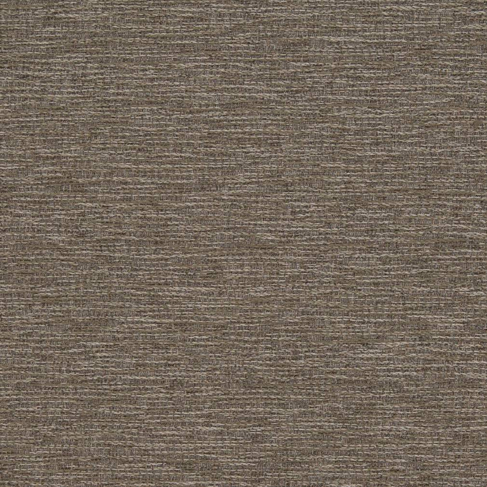 D1351 Hazelwood by Charlotte Fabric Neutral Textures 77% Polyester, 23% Cotton Taiwan Exceeds 60,000 Wyzenbeek Rubs (Heavy Duty) No Repeat 54 Inches - Fabric Carolina -