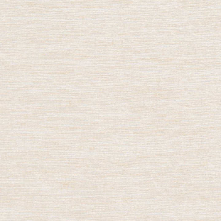 D1355 Neutral by Charlotte Fabric Neutral Textures 77% Polyester, 23% Cotton Taiwan Exceeds 60,000 Wyzenbeek Rubs (Heavy Duty) No Repeat 54 Inches - Fabric Carolina -