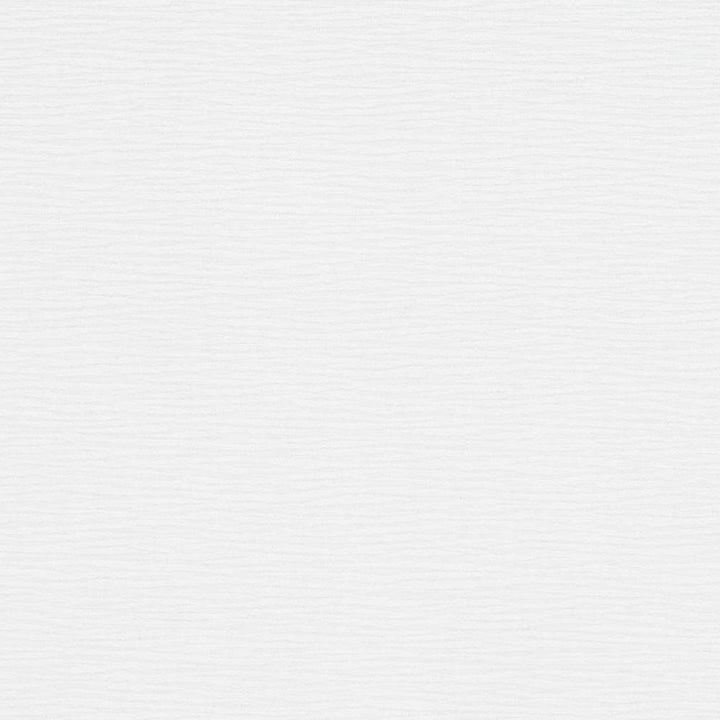 D1358 Winter White by Charlotte Designer Fabric Neutral Textures 77% Polyester, 23% Cotton Taiwan Exceeds 60,000 Wyzenbeek Rubs (Heavy Duty) No Repeat 54 Inches - Swanky Fabrics -