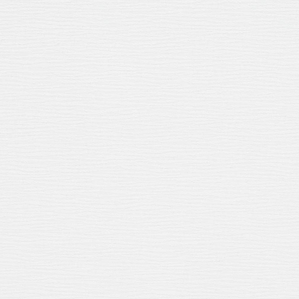 D1358 Winter White by Charlotte Fabric Neutral Textures 77% Polyester, 23% Cotton Taiwan Exceeds 60,000 Wyzenbeek Rubs (Heavy Duty) No Repeat 54 Inches - Fabric Carolina -