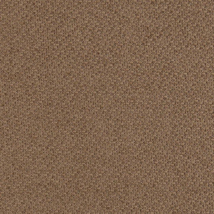 D1370 Latte by Charlotte Fabric Textured Plains 100% Woven Polyester Asia Exceeds 100,000 Wyzenbeek Rubs (Heavy Duty) </p><p>Repeat: No Repeat 54 Inches - Fabric Carolina -