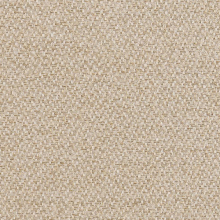D1376 Linen by Charlotte Fabric Textured Plains 100% Woven Polyester China Exceeds 100,000 Wyzenbeek Rubs (Heavy Duty) No Repeat 54 Inches - Fabric Carolina -