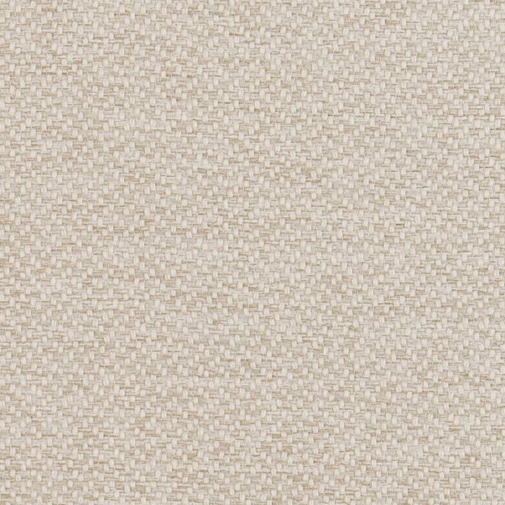 D1381 Oyster by Charlotte Fabric Textured Plains 100% Woven Polyester Asia Exceeds 100,000 Wyzenbeek Rubs (Heavy Duty) </p><p>Repeat: No Repeat 54 Inches - Fabric Carolina -