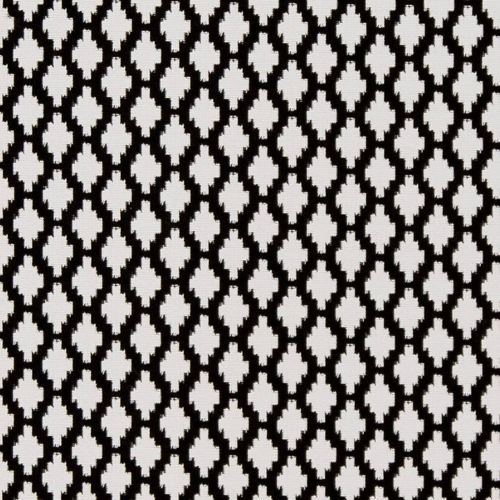 D1427 Onyx Inca by Charlotte Fabric Vibrant Wovens 100% Polypropylene Europe Exceeds 100,000 Wyzenbeek Rubs (Heavy Duty) </p><p>Repeat: Horizontal: 1.25" x Vertical: 1.25" 54 Inches - Fabric Carolina -