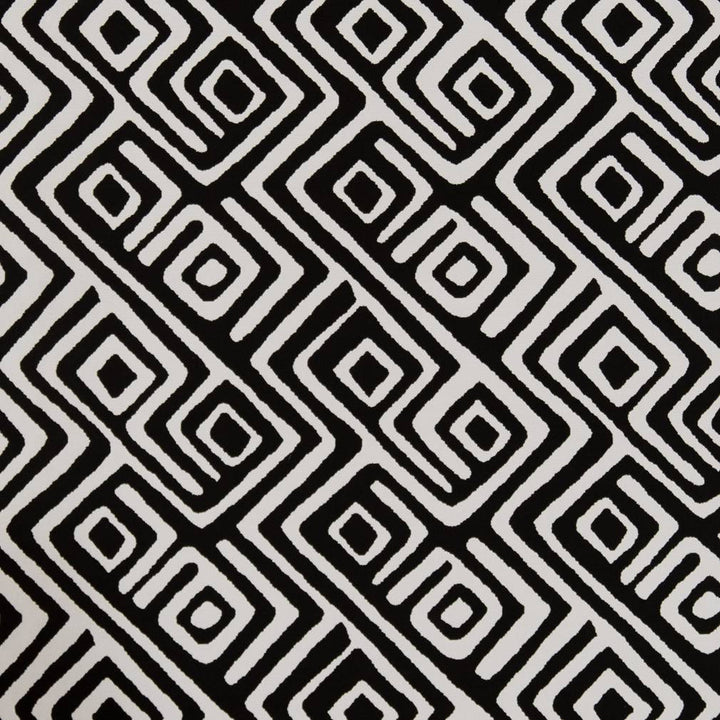 D1441 Onyx Labyrinth by Charlotte Fabric Vibrant Wovens 100% Woven Polypropylene Europe Exceeds 100,000 Wyzenbeek Rubs (Heavy Duty) Horizontal 14" x Vertical 9.5" 54 Inches - Fabric Carolina -