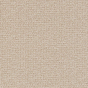 D1446 Sandstone Texture by Charlotte Fabric