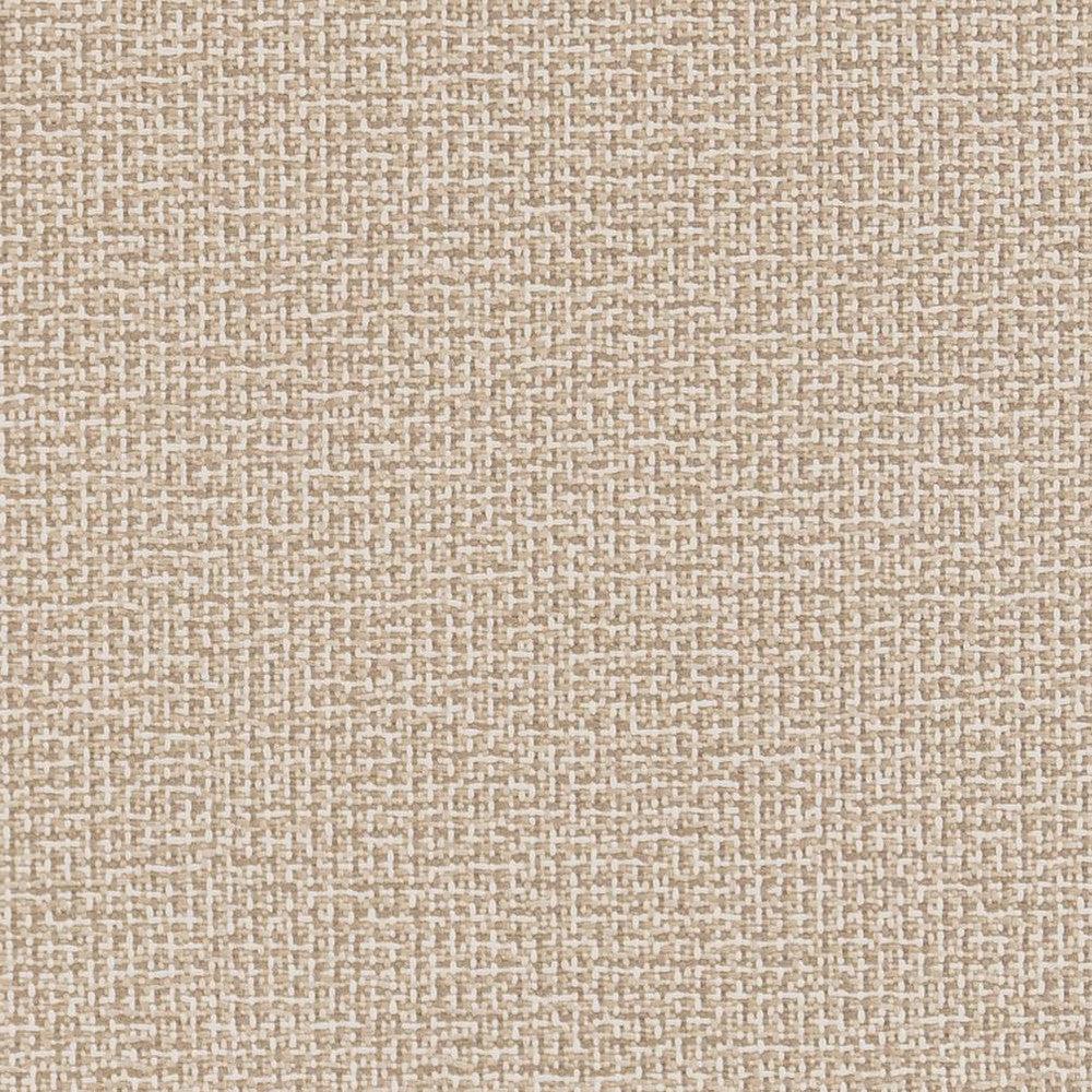 D1446 Sandstone Texture by Charlotte Fabric Vibrant Wovens 100% Polypropylene Europe Exceeds 100,000 Wyzenbeek Rubs (Heavy Duty) </p><p>Repeat: No Repeat 54 Inches - Fabric Carolina -