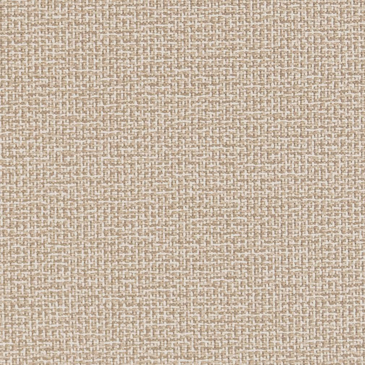 D1446 Sandstone Texture by Charlotte Fabric Vibrant Wovens 100% Polypropylene Europe Exceeds 100,000 Wyzenbeek Rubs (Heavy Duty) </p><p>Repeat: No Repeat 54 Inches - Fabric Carolina -