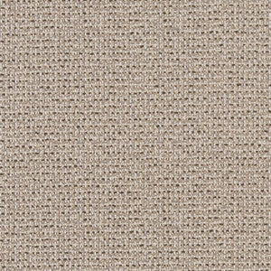 D1447 Ecru Texture by Charlotte Fabric