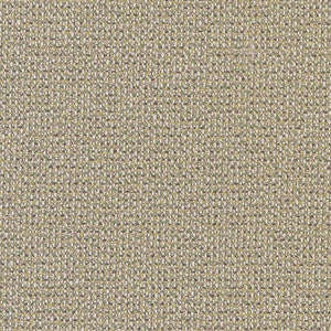 D1449 Lime Texture by Charlotte Fabric