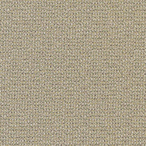D1449 Lime Texture by Charlotte Fabric
