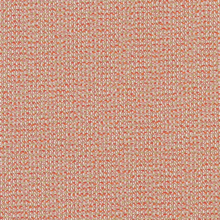 D1450 Punch Texture by Charlotte Fabric Vibrant Wovens 100% Polypropylene Europe Exceeds 100,000 Wyzenbeek Rubs (Heavy Duty) </p><p>Repeat: No Repeat 54 Inches - Fabric Carolina -