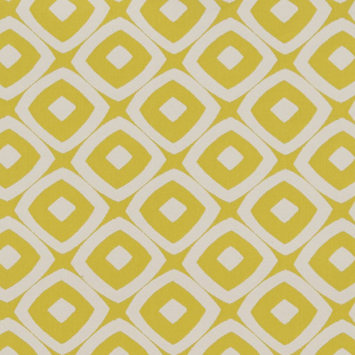 D1455 Lime Mayan by Charlotte Fabric Vibrant Wovens 100% Woven Polypropylene Europe Exceeds 100,000 Wyzenbeek Rubs (Heavy Duty) Horizontal 4.5" x Vertical 4" 54 Inches - Fabric Carolina -