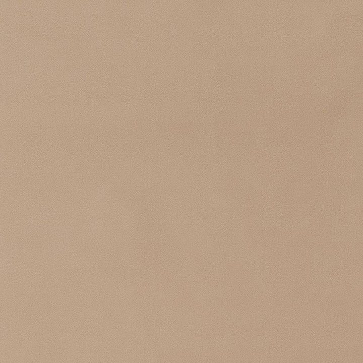 D1462 Fawn by Charlotte Fabric Eco Velvet 100% Polyester China Exceeds 200,000 Wyzenbeek Rubs (Heavy Duty) No Repeat 54 Inches - Fabric Carolina -