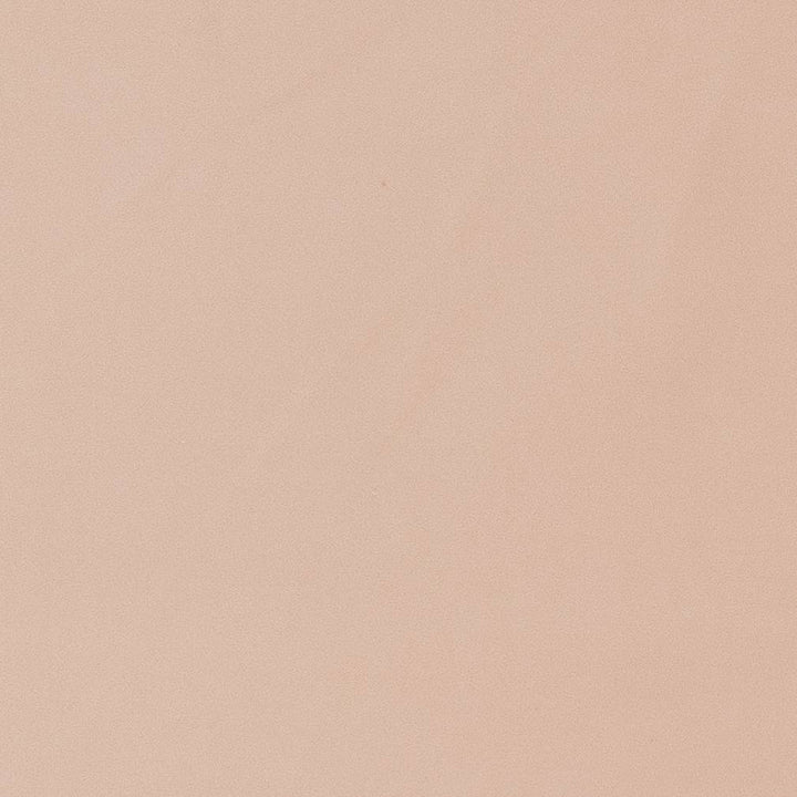D1468 Blush by Charlotte Fabric Eco Velvet 100% Polyester China Exceeds 200,000 Wyzenbeek Rubs (Heavy Duty) No Repeat 54 Inches - Fabric Carolina -