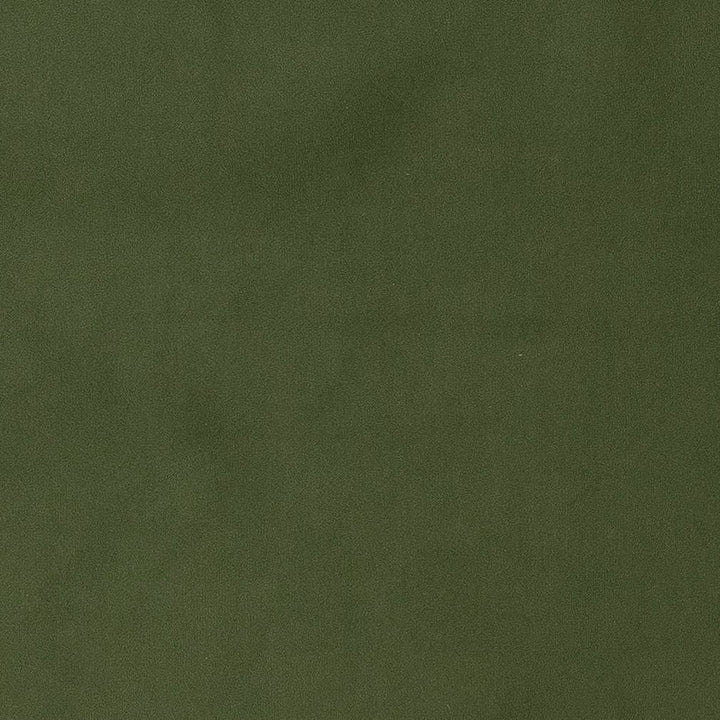 D1471 Jade by Charlotte Fabric Eco Velvet 100% Polyester China Exceeds 200,000 Wyzenbeek Rubs (Heavy Duty) No Repeat 54 Inches - Fabric Carolina -