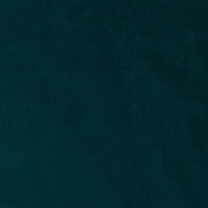 D1472 Spruce by Charlotte Fabric Eco Velvet 100% Polyester Asia Exceeds 200,000 Wyzenbeek Rubs (Heavy Duty) </p><p>Repeat: No Repeat 54 Inches - Fabric Carolina -