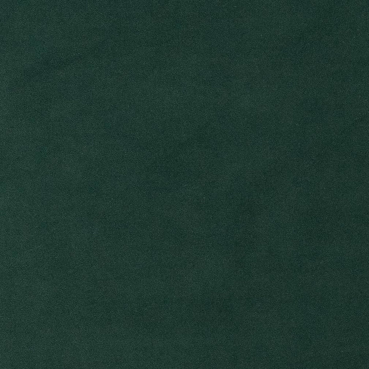 D1476 Emerald by Charlotte Fabric Eco Velvet 100% Polyester China Exceeds 200,000 Wyzenbeek Rubs (Heavy Duty) No Repeat 54 Inches - Fabric Carolina -