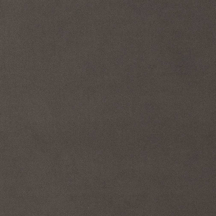 D1479 Charcoal by Charlotte Designer Fabric Eco Velvet 100% Polyester China Exceeds 200,000 Wyzenbeek Rubs (Heavy Duty) No Repeat 54 Inches - Swanky Fabrics -