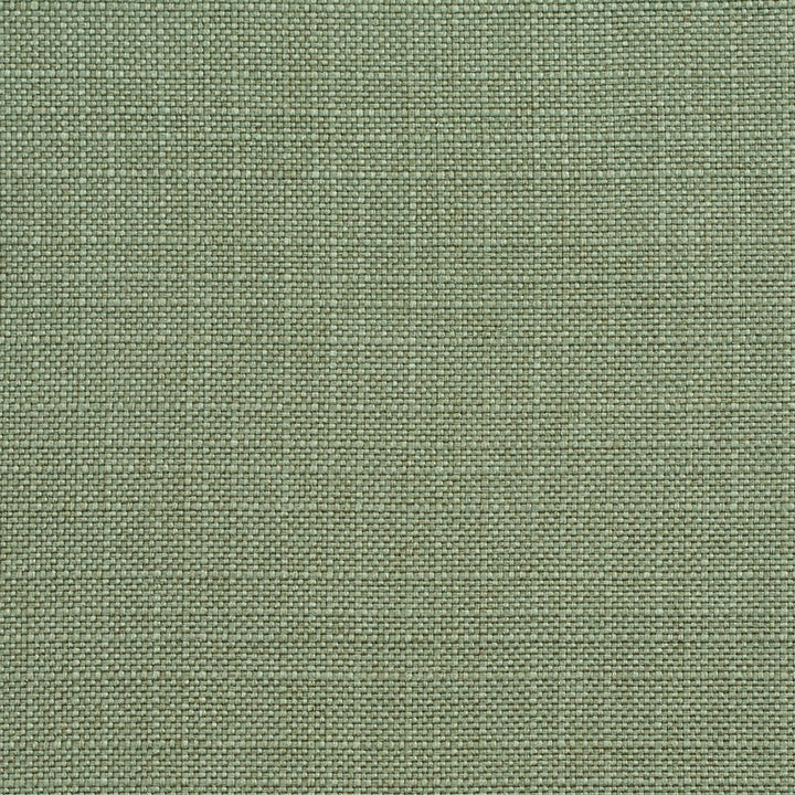 D147 Juniper by Charlotte Fabric Clubhouse Collection 100% Woven Polyester Asia Exceeds 120,000 Wyzenbeek Rubs (Heavy Duty) </p><p>Repeat: No Repeat 54 Inches - Fabric Carolina -