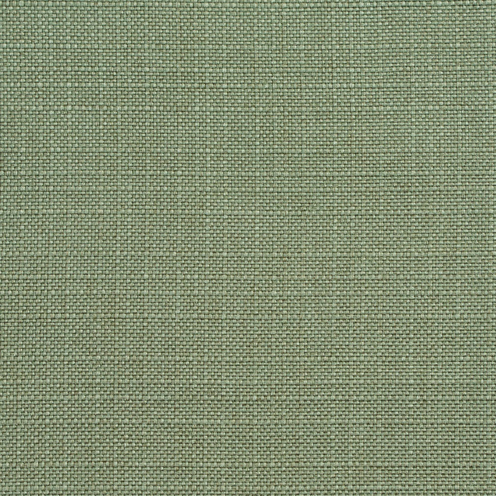 D147 Juniper by Charlotte Designer Fabric Clubhouse Collection 100% Woven Polyester Asia Exceeds 120,000 Wyzenbeek Rubs (Heavy Duty) No Repeat 54 Inches - Swanky Fabrics -