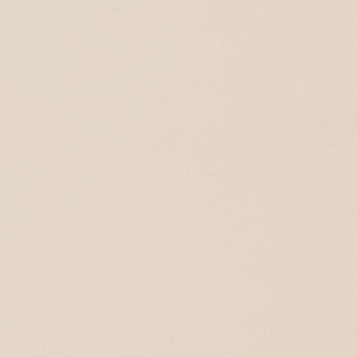 D1484 Ivory by Charlotte Fabric Eco Velvet 100% Polyester China Exceeds 200,000 Wyzenbeek Rubs (Heavy Duty) No Repeat 54 Inches - Fabric Carolina -