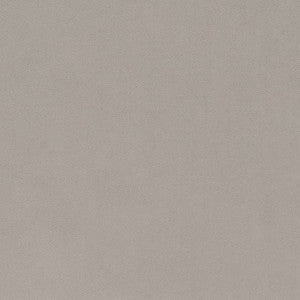 D1486 Platinum by Charlotte Fabric