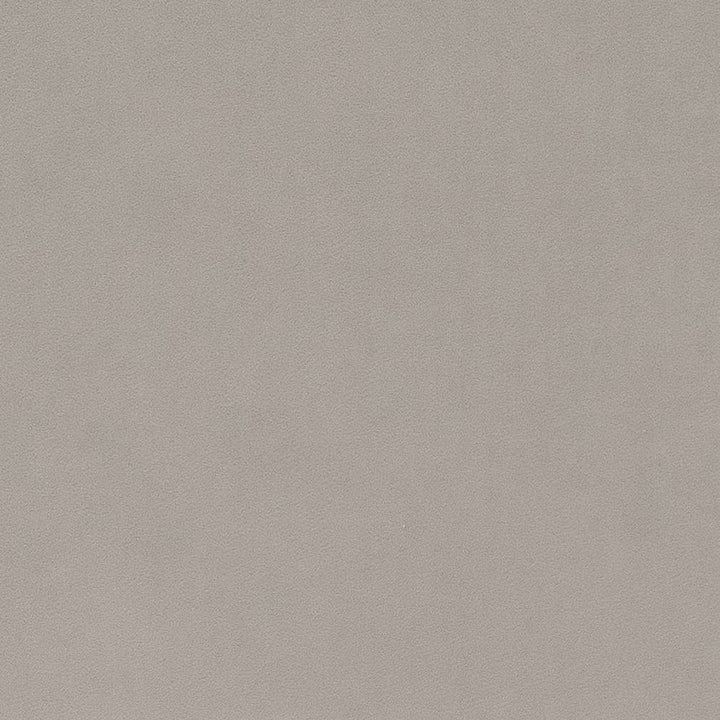 D1486 Platinum by Charlotte Fabric Eco Velvet 100% Polyester Asia Exceeds 200,000 Wyzenbeek Rubs (Heavy Duty) </p><p>Repeat: No Repeat 54 Inches - Fabric Carolina -