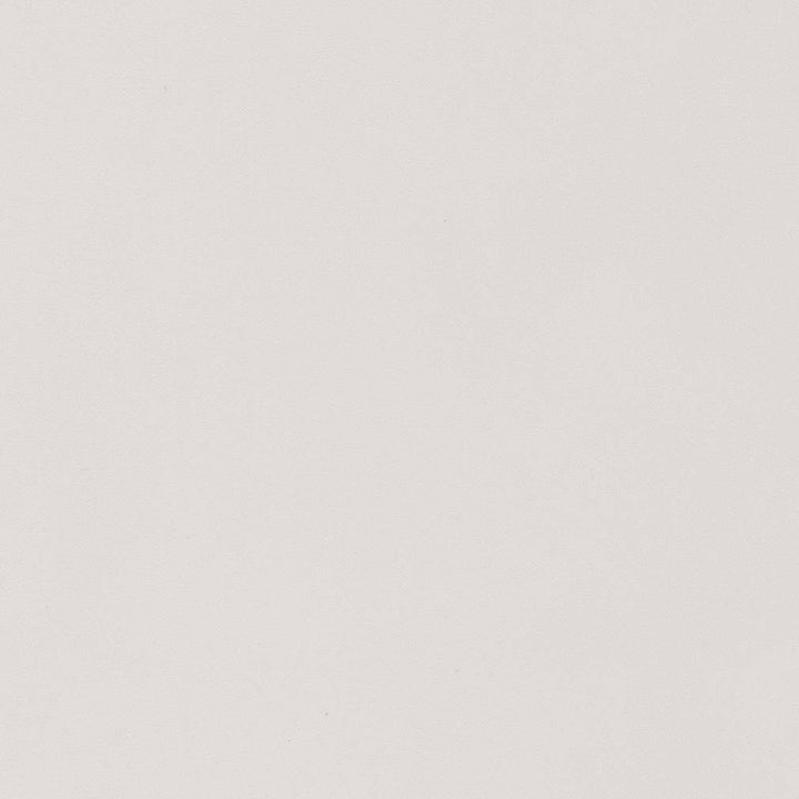 D1489 White by Charlotte Fabric Eco Velvet 100% Polyester China Exceeds 200,000 Wyzenbeek Rubs (Heavy Duty) No Repeat 54 Inches - Fabric Carolina -
