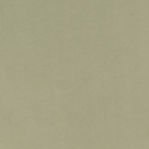 D1494 Mint by Charlotte Fabric