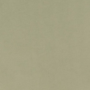 D1494 Mint by Charlotte Fabric