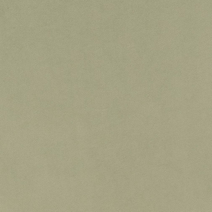 D1494 Mint by Charlotte Fabric Eco Velvet 100% Polyester Asia Exceeds 200,000 Wyzenbeek Rubs (Heavy Duty) </p><p>Repeat: No Repeat 54 Inches - Fabric Carolina -
