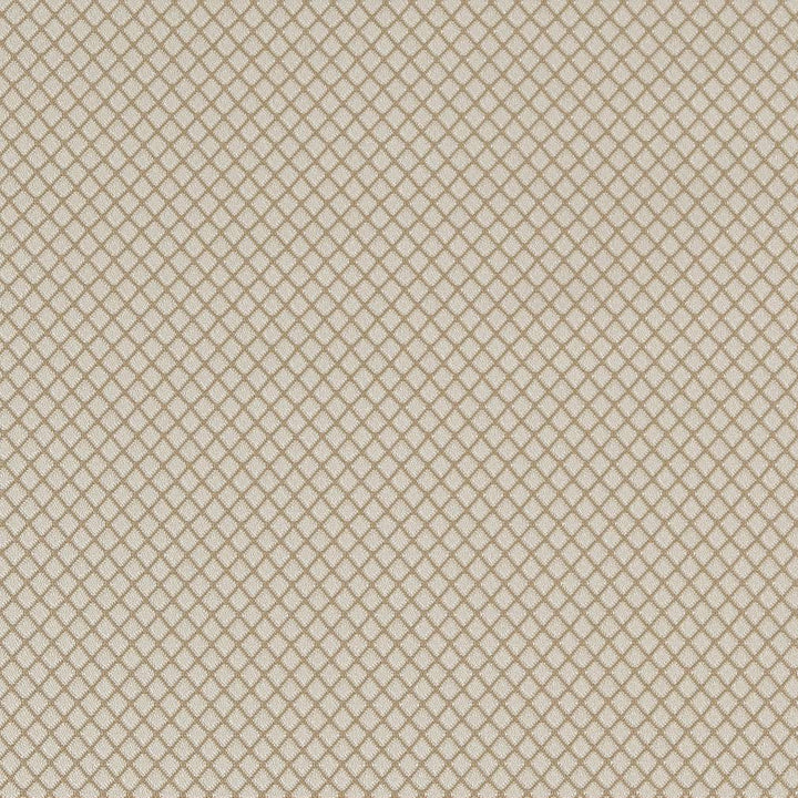 D1548 Champagne Diamond by Charlotte Fabric Elegant Damasks 100% Woven Polyester Turkey Exceeds 50,000 Wyzenbeek Rubs (Heavy Duty) </p><p>Repeat: 54 Inches - Fabric Carolina -