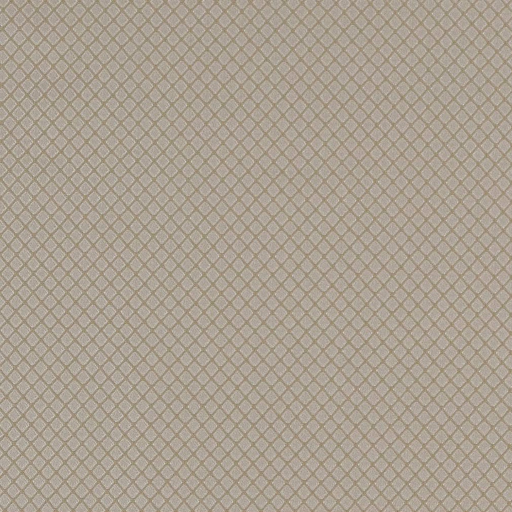 D1550 Pewter Diamond by Charlotte Fabric Elegant Damasks 100% Woven Polyester Turkey Exceeds 50,000 Wyzenbeek Rubs (Heavy Duty) </p><p>Repeat: 54 Inches - Fabric Carolina -