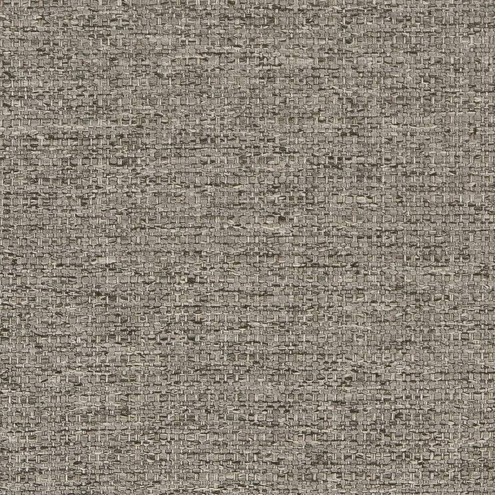 D1570 Pewter by Charlotte Designer Fabric Eco Plains 100% Woven Polypropylene Made In USA Exceeds 60,000 Wyzenbeek Rubs (Heavy Duty) No Repeat 54 Inches - Swanky Fabrics -