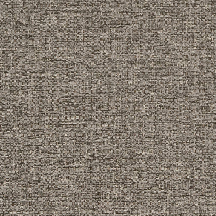D1573 Mineral by Charlotte Fabric Eco Plains 100% Woven Polypropylene Made In USA Exceeds 60,000 Wyzenbeek Rubs (Heavy Duty) No Repeat 54 Inches - Fabric Carolina -