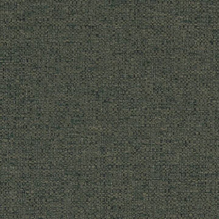 D1576 Cypress by Charlotte Designer Fabric Eco Plains 100% Polypropylene Made In USA Exceeds 60,000 Wyzenbeek Rubs (Heavy Duty) </p><p>Repeat: 54 Inches - Swanky Fabrics -
